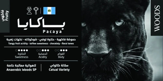 Pacaya – Guatemala