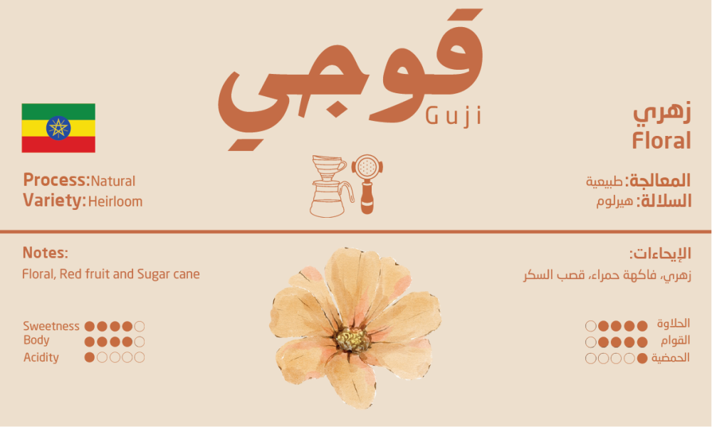 غوجي - إثيوبيا