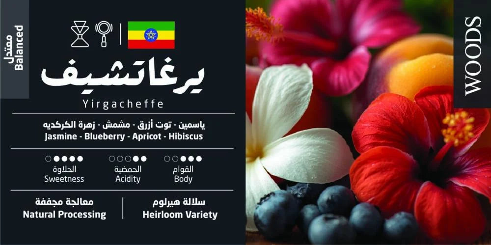يرقاتشيف - إثيوبيا