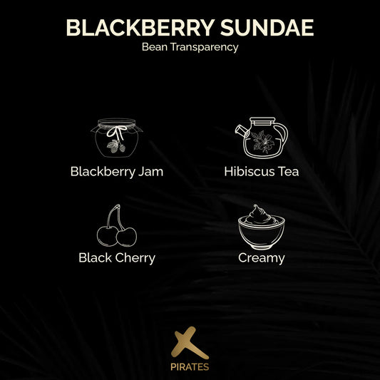 Blackberry Sundae – Co-Ferment – Colombia (Filter)
