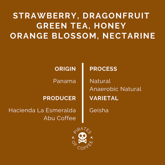 Red Dragon Geisha - Panama (Filter) 100G