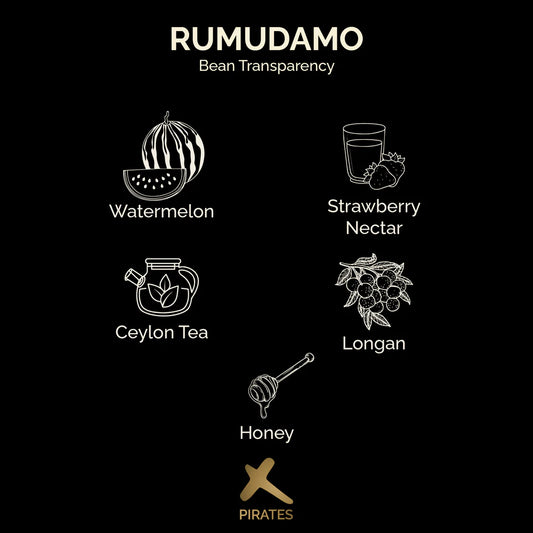 Rumudamo - Anaerobic Natural - Ethiopia