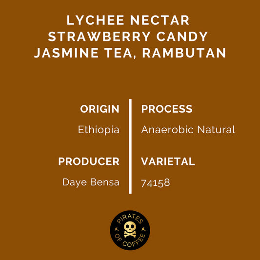 Shantawene Anaerobic - Ethiopia (Filter)