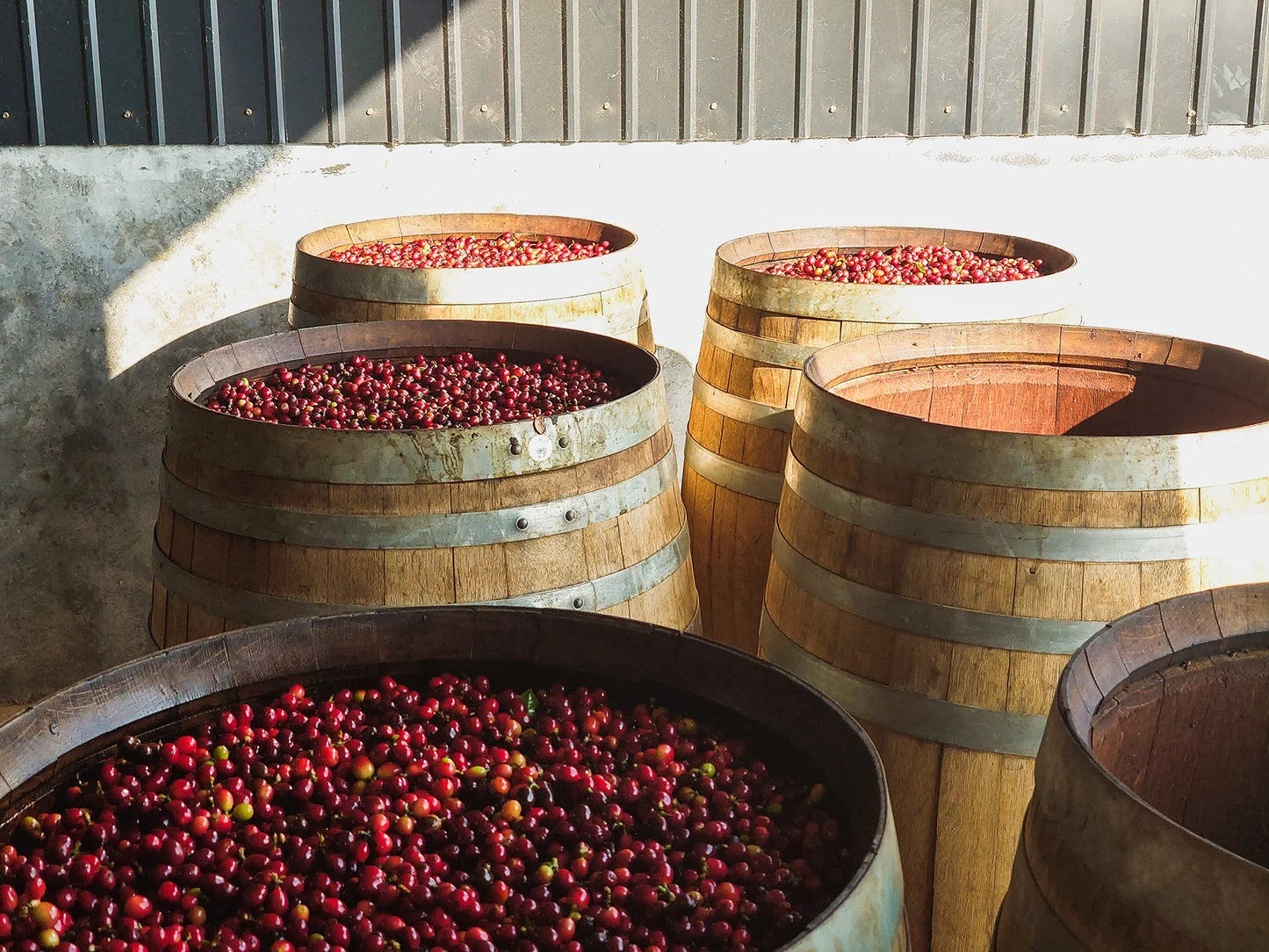 Yunlan Estate Oak Barrel - China