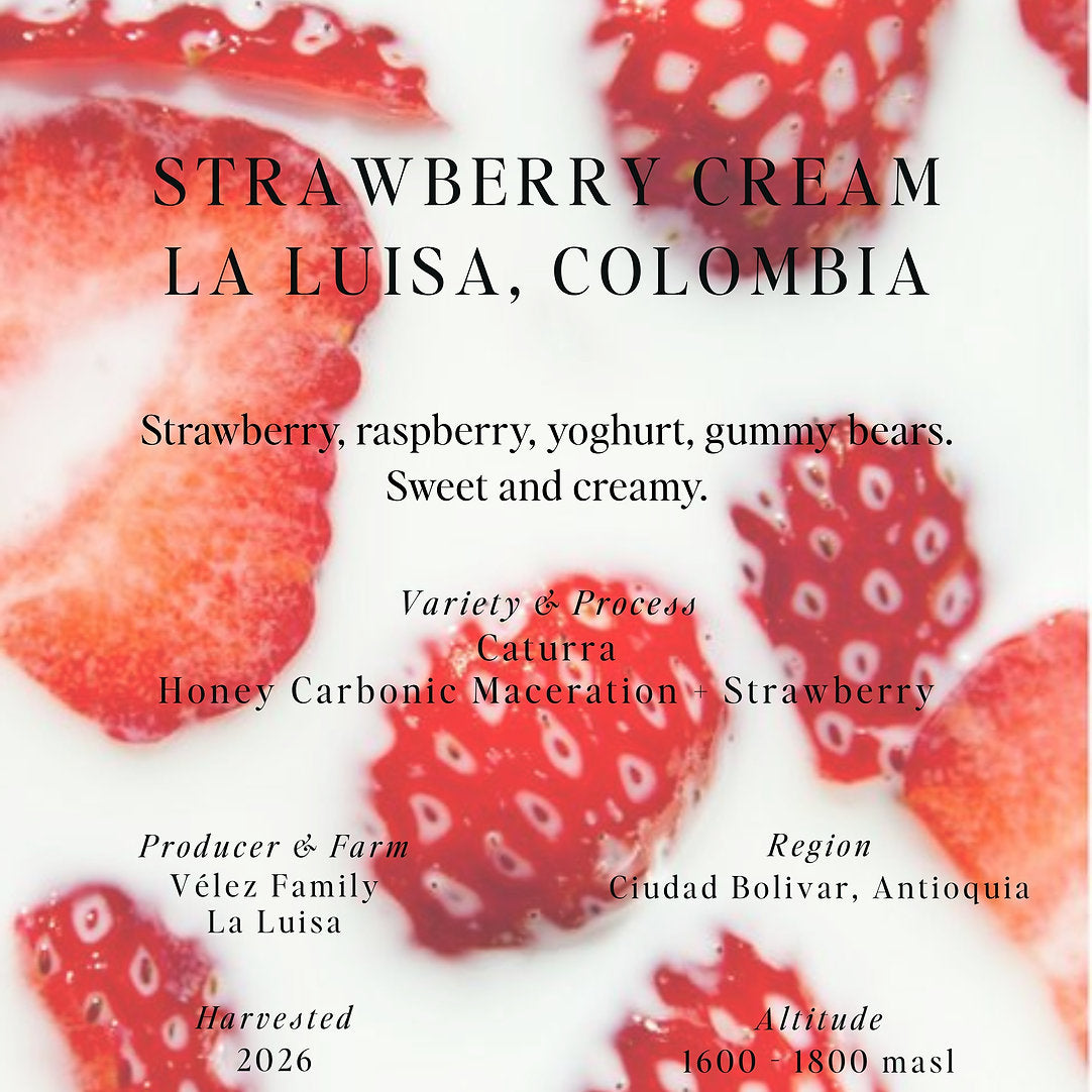 Strawberry Cream, La Luisa - Colombia (Omni)