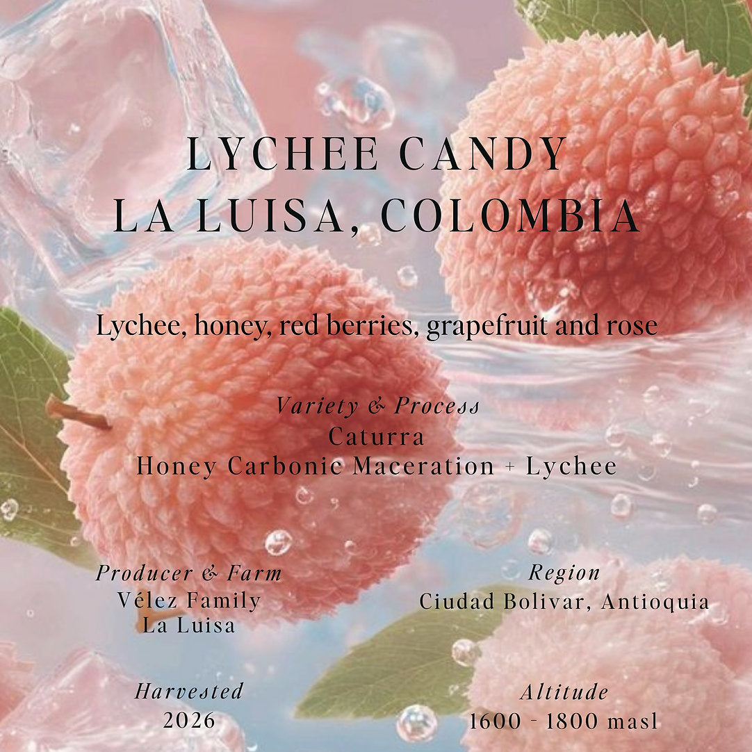 Lychee Candy, La Luisa - Colombia (Omni)