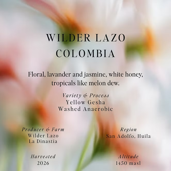 Wilder Lazo - Colombia