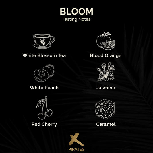 Bloom – Washed – Ethiopia