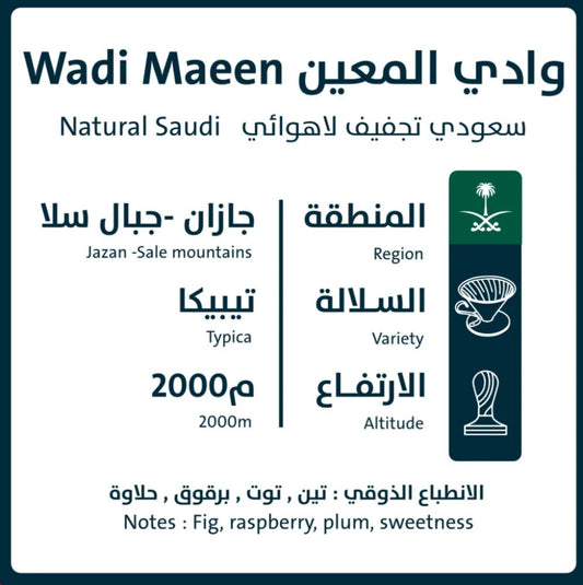 Wadi Maeen - KSA