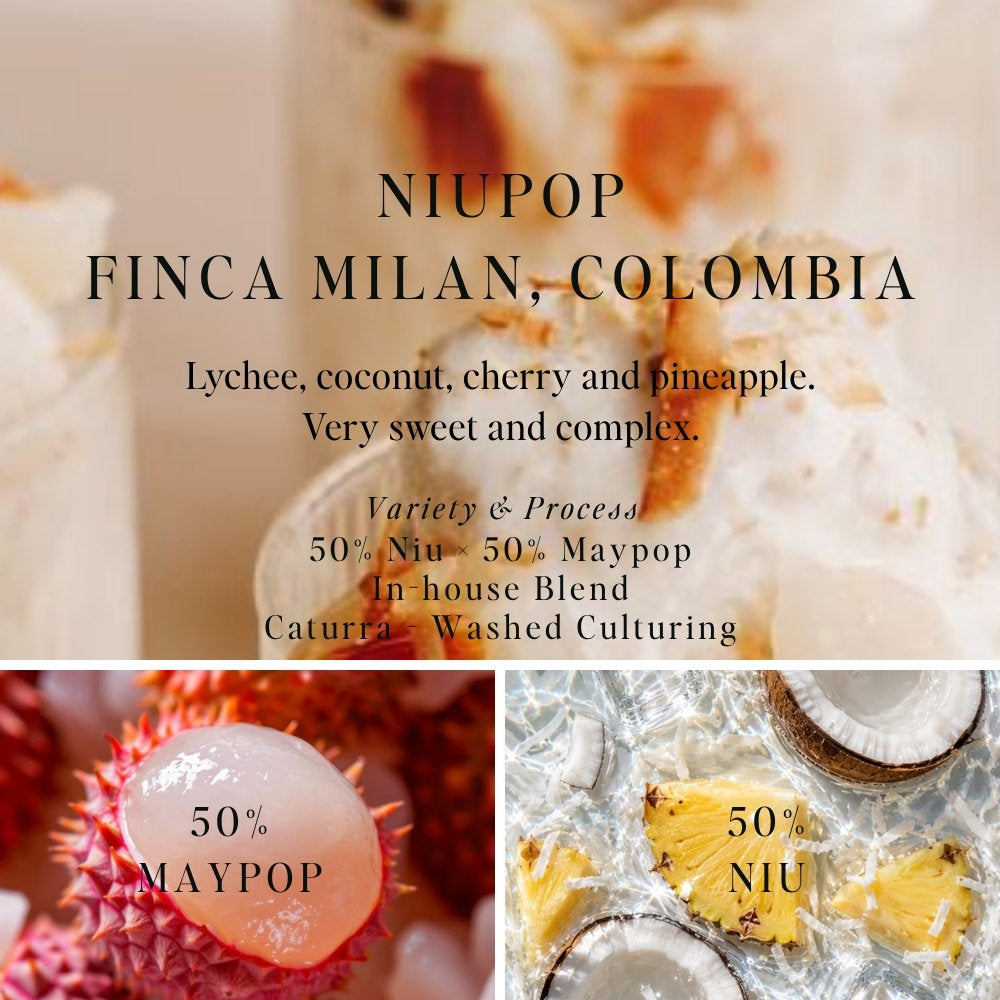 NiuPop Finca Milan - Colombia (Omni)