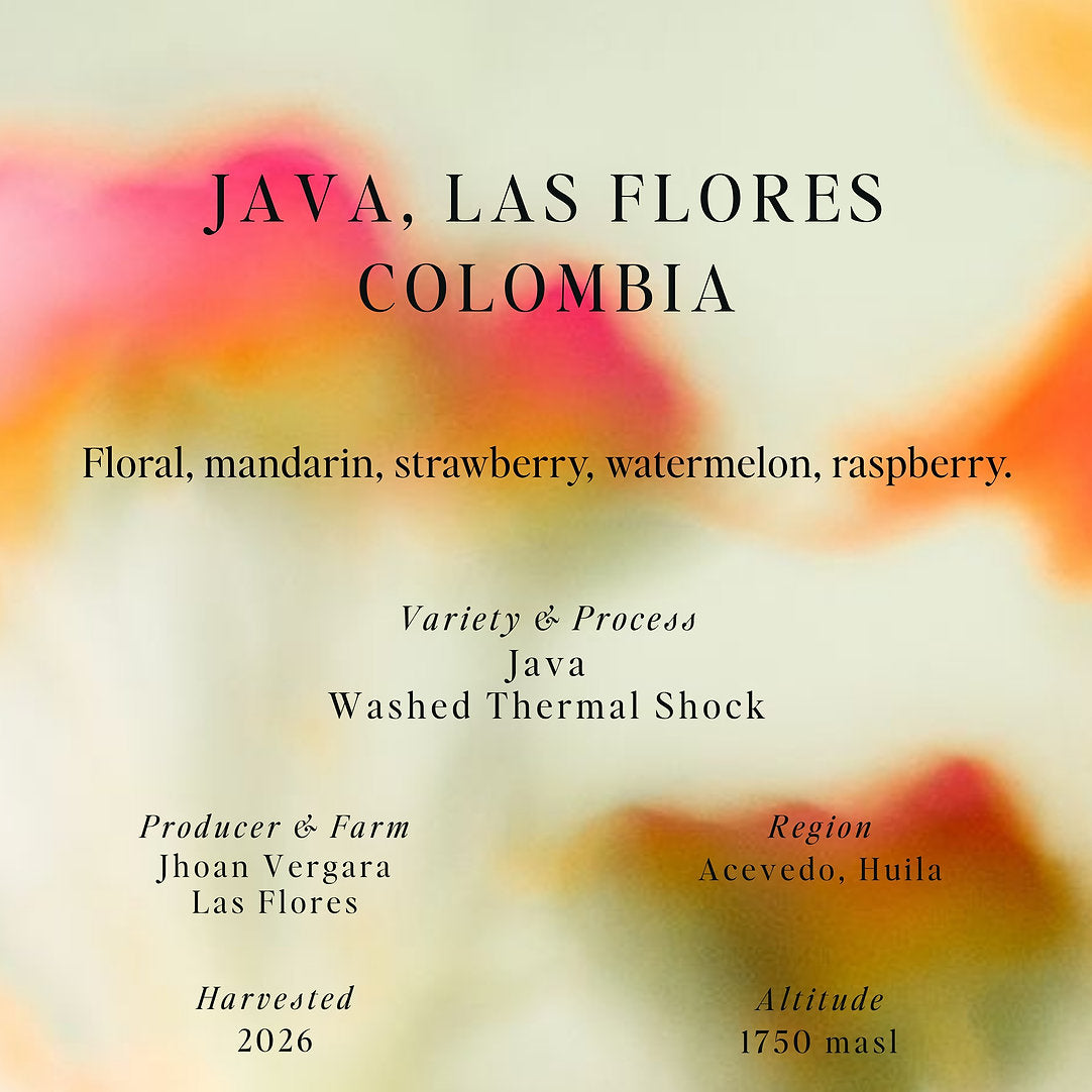 Java Las Flores - Colombia (Omni)