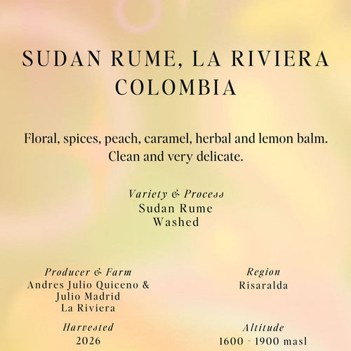 Sudan Rume, La Riviera - Colombia (Filter)