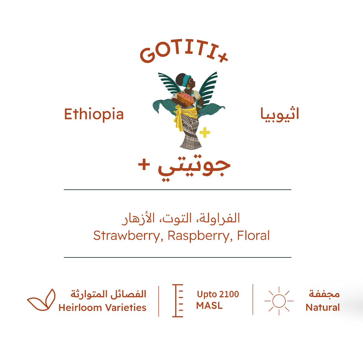 Gotiti Plus - Ethiopia 907g