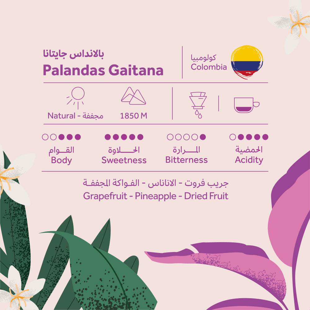 Palandas Gaitana - Colombia