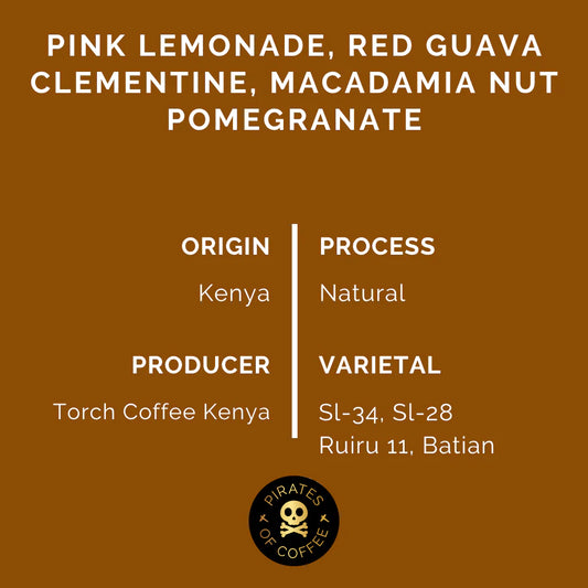 Treasure of Kenya - Kenya (Espresso)