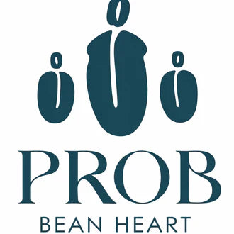 PROB - KSA