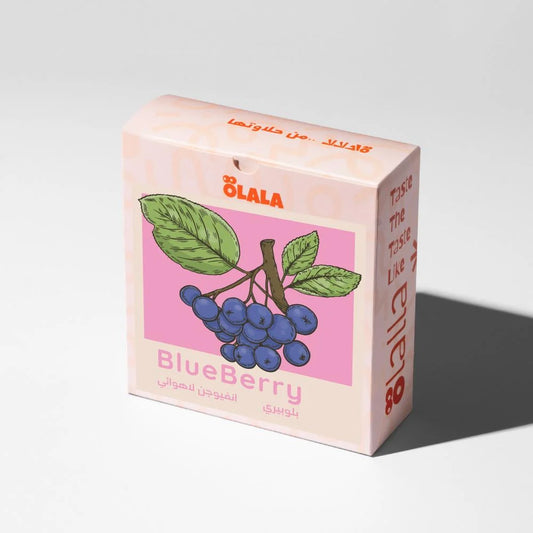 BlueBerry - Infusion - Colombia 125 G