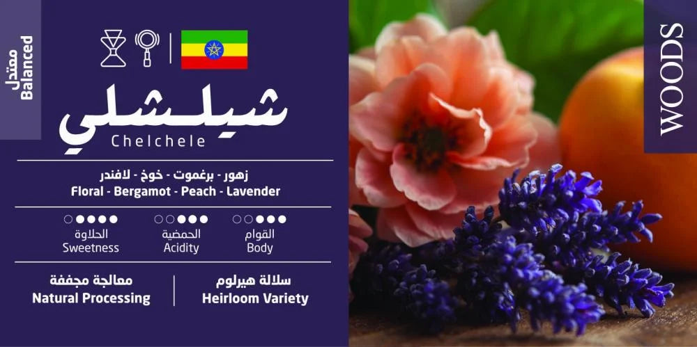 شيلشيلي - اثيوبيا
