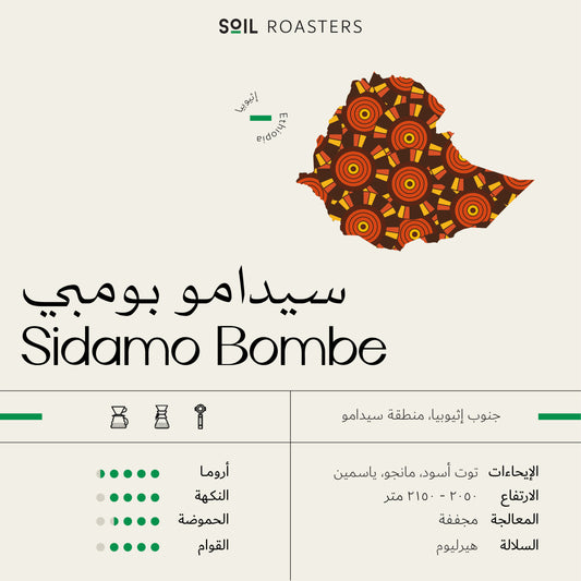 Sidamo Bombe - Ethiopia