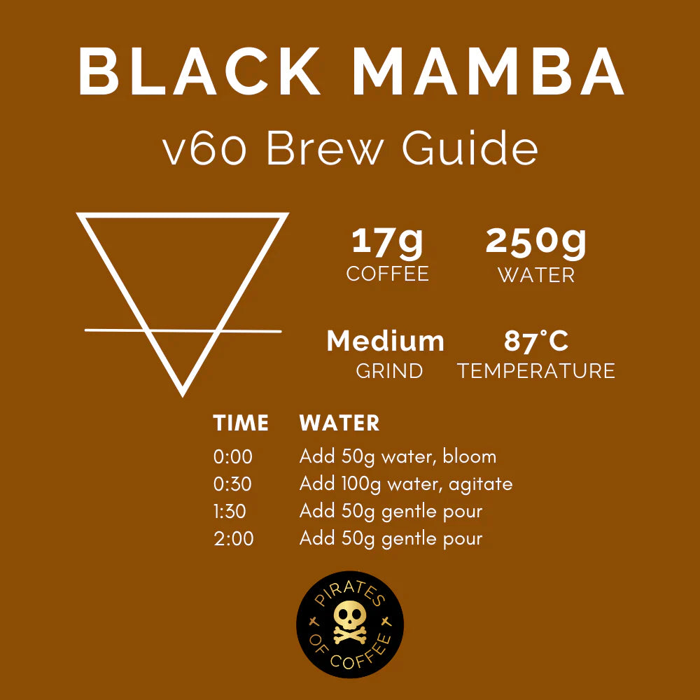 Black Mamba - Kenya
