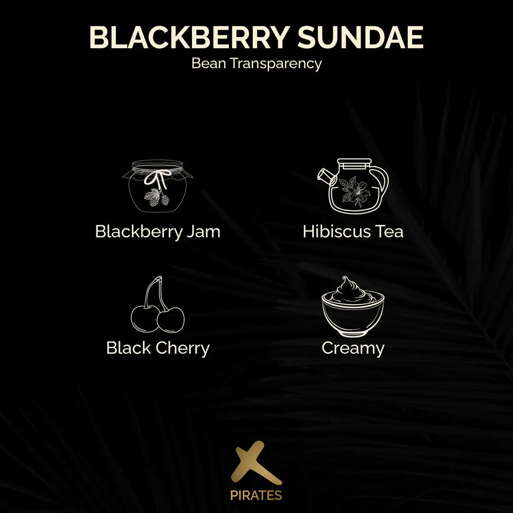 Blackberry Sundae – Co-Ferment – Colombia (Filter)