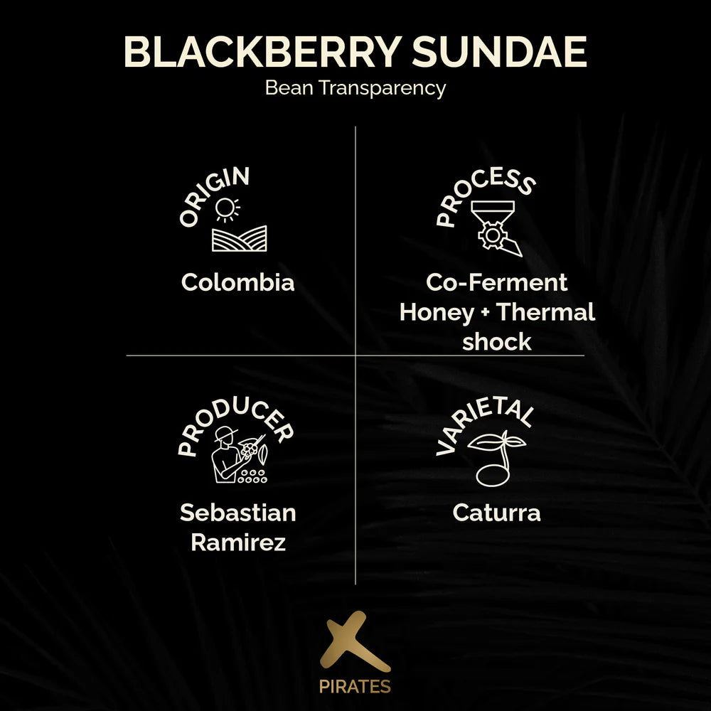 Blackberry Sundae – Co-Ferment – Colombia (Filter)