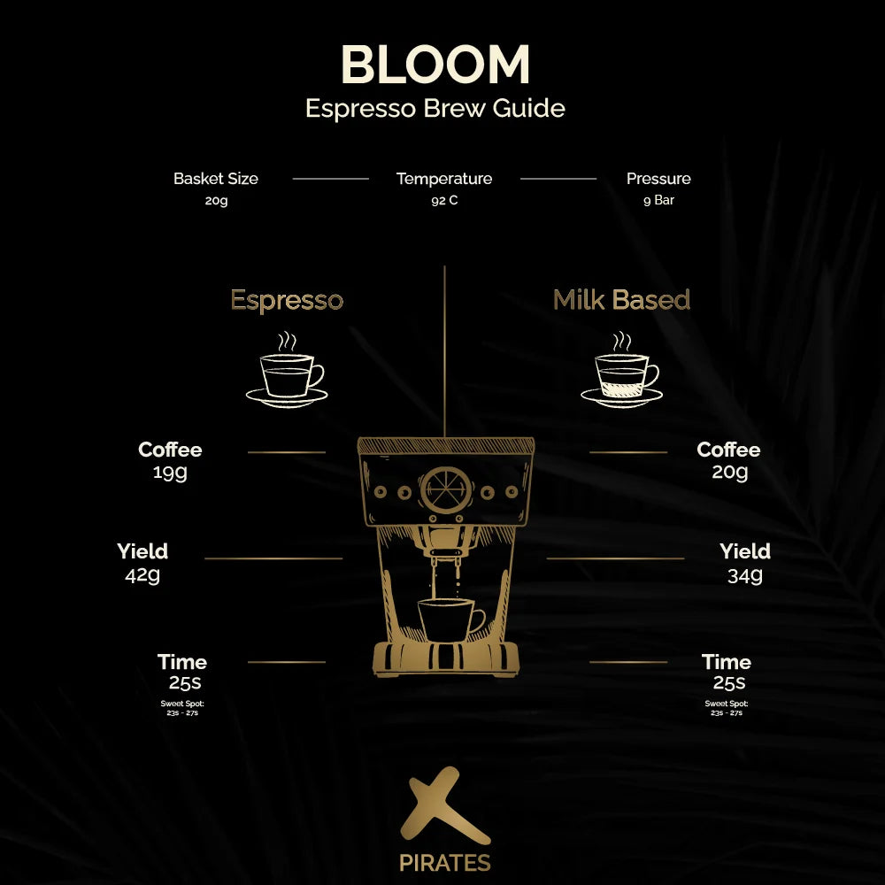 Bloom – Washed – Ethiopia