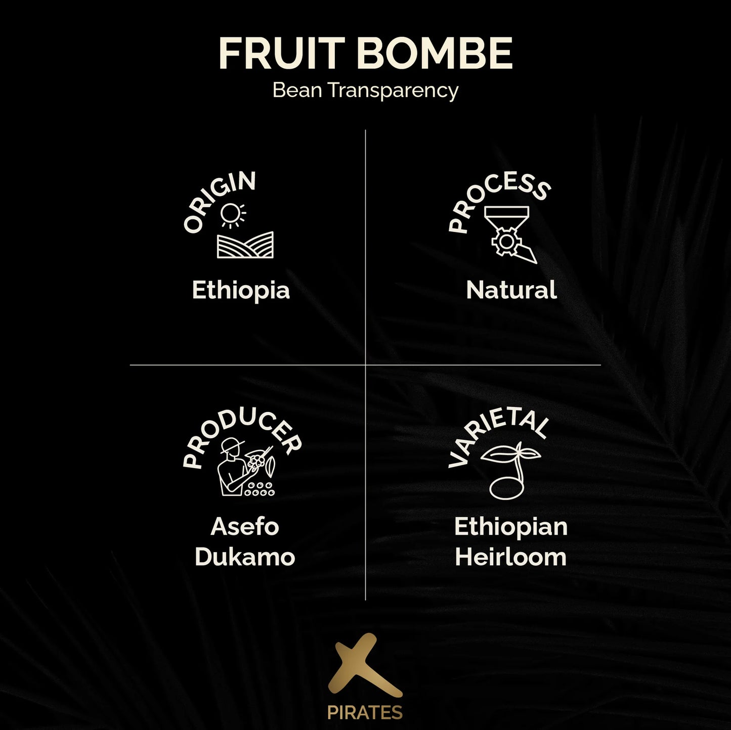 Fruit Bombe - Ethiopia (Filter)