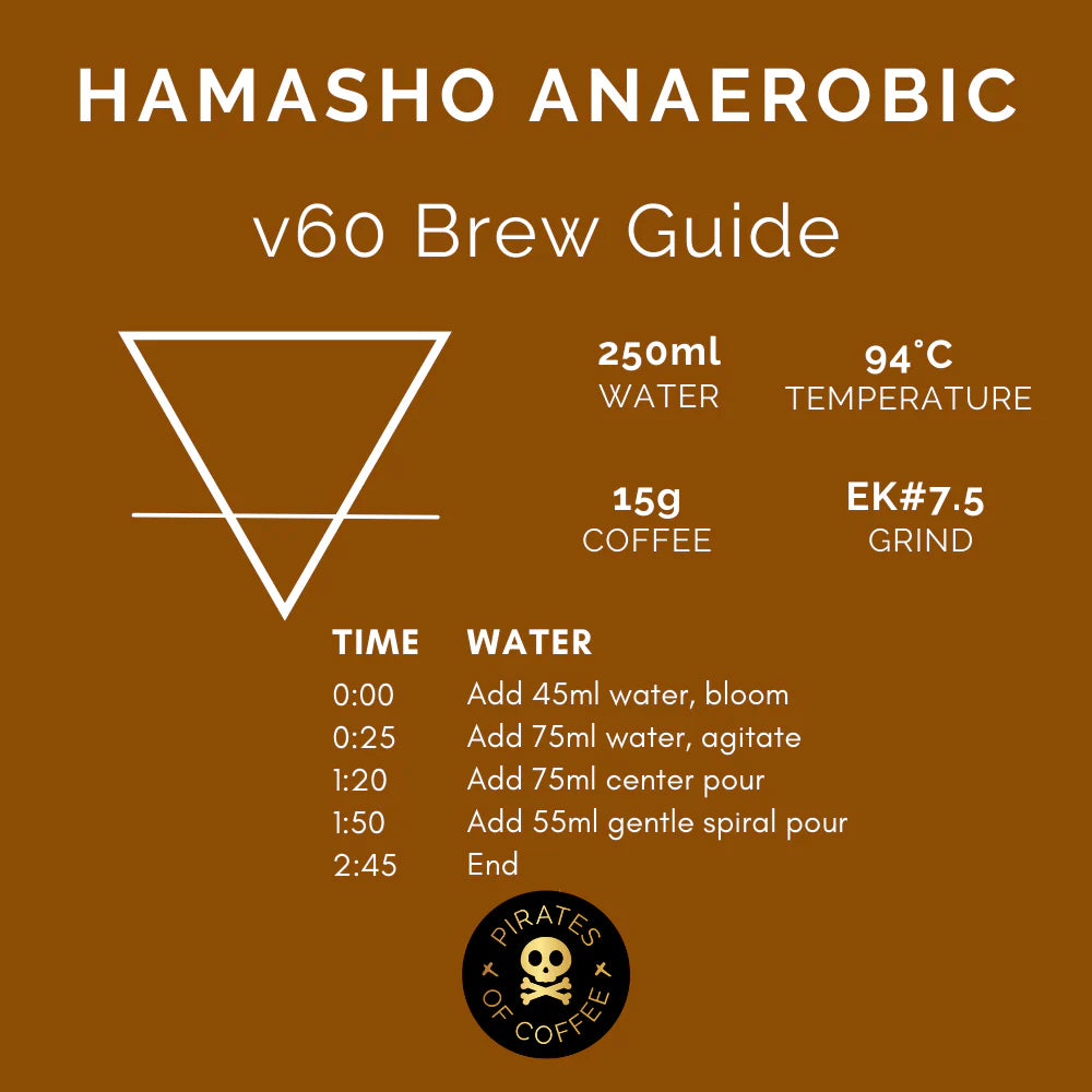 Hamasho Anaerobic - Ethiopia (Filter)