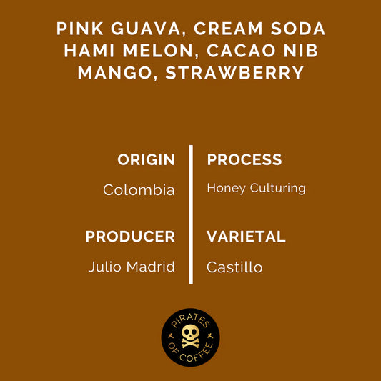 Magic Potion - Colombia (Espresso) 1 kg