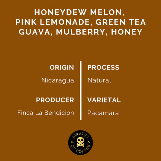 Pacamara - Nicaragua