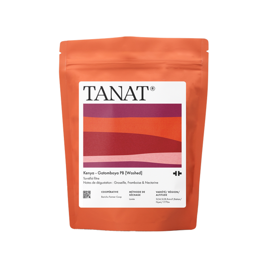 Gatomboya PB [Washed] - Kenya (Filter)