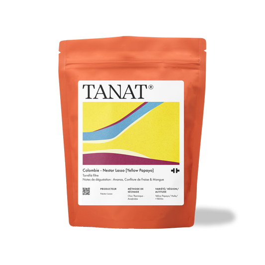 Nestor Lasso [Yellow Papayo] - Colombia (Filter)