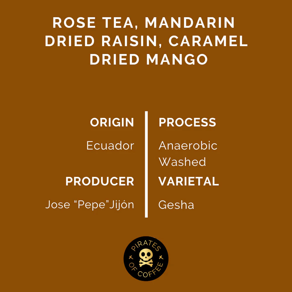 Rose Gesha - Pepe Jijon - Ecuador (Filter) 100 g