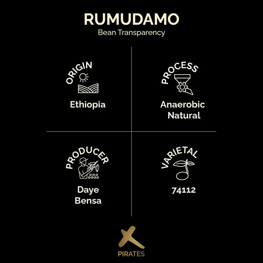 Rumudamo - Anaerobic Natural - Ethiopia