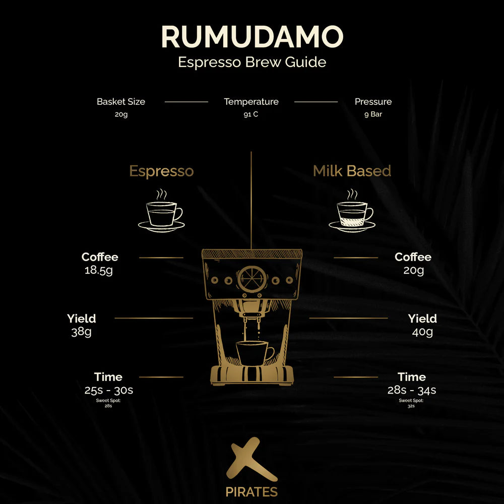 Rumudamo - Anaerobic Natural - Ethiopia