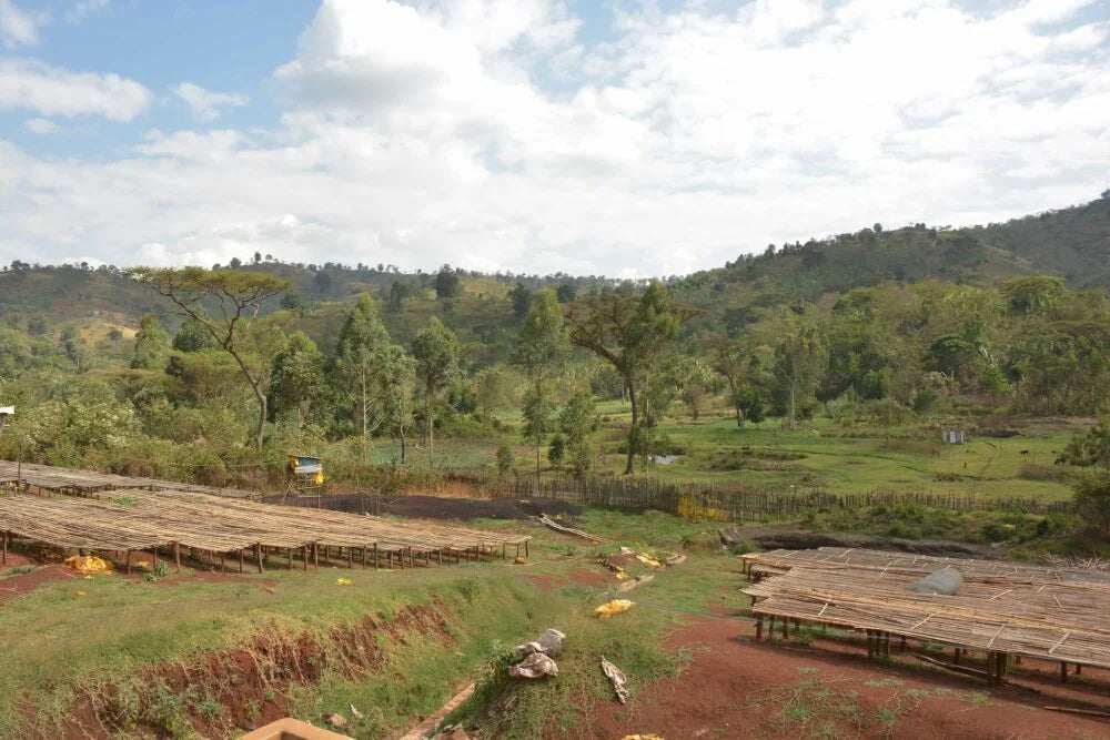 Shakisso - Ethiopia
