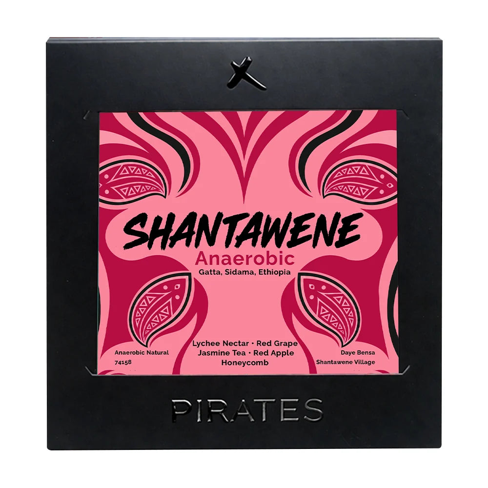 Shantawene Anaerobic - Ethiopia (Filter)