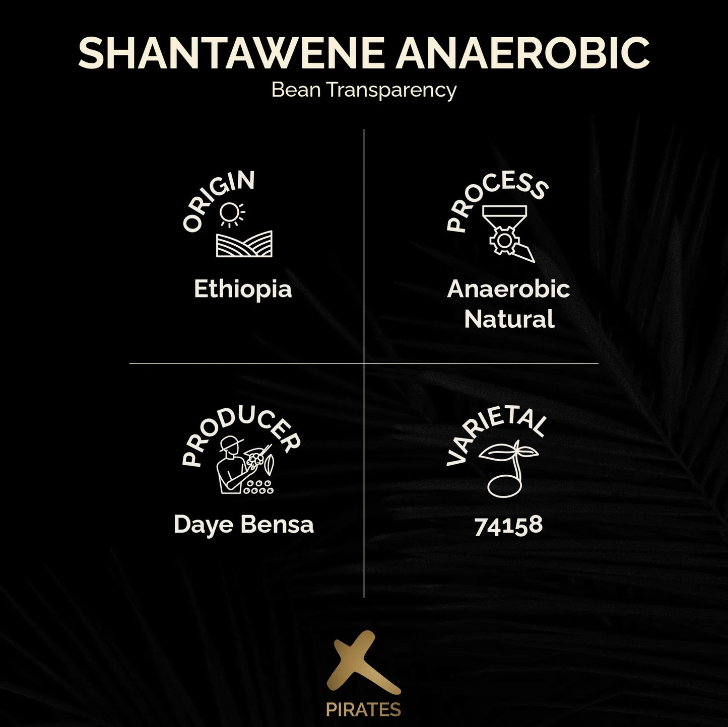 Shantawene Anaerobic - Ethiopia (Filter)
