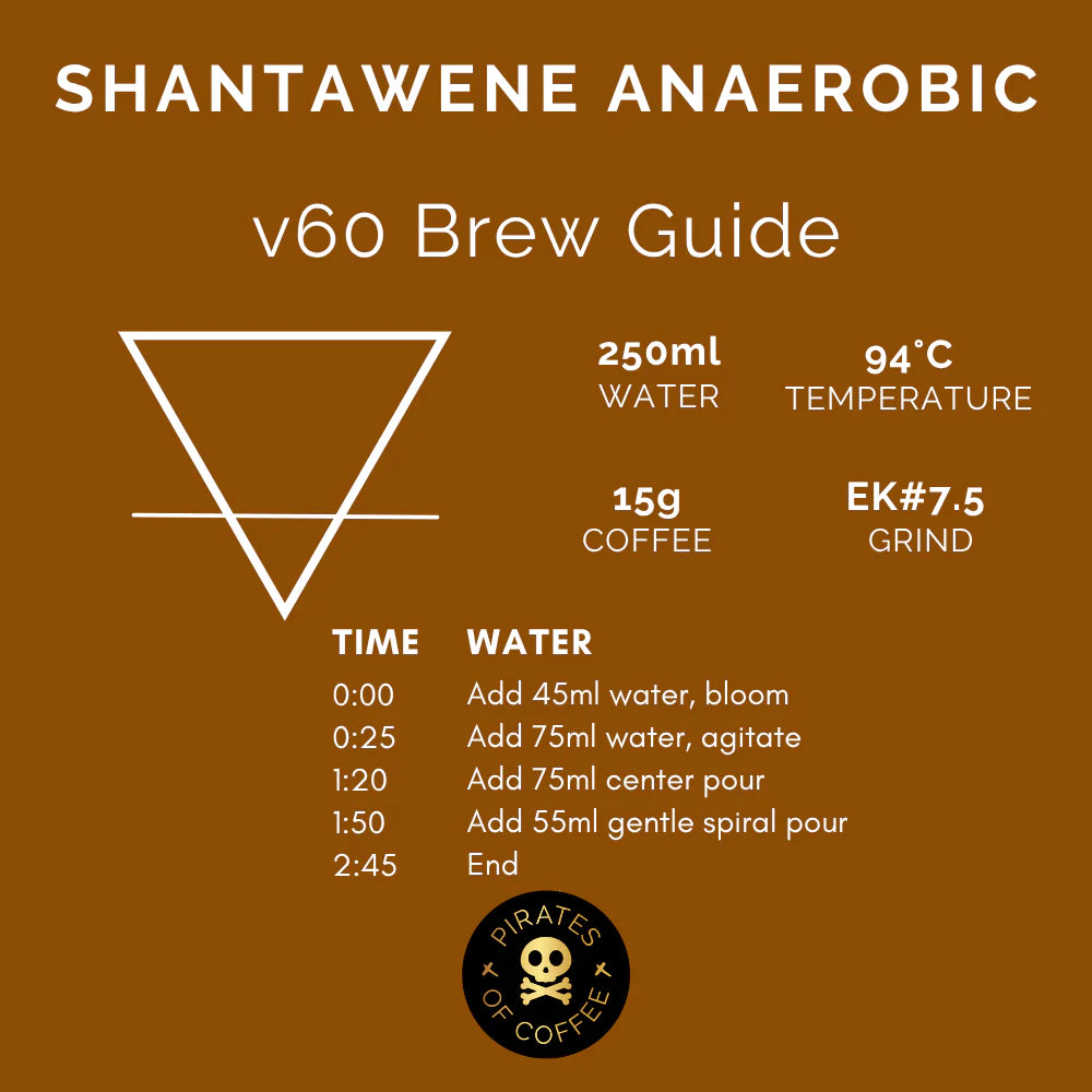 Shantawene Anaerobic - Ethiopia (Filter)