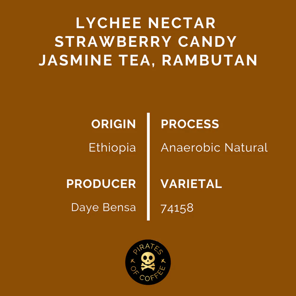 Shantawene Anaerobic - Ethiopia (Filter)