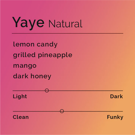 Yaya - Natural - Ethiopia