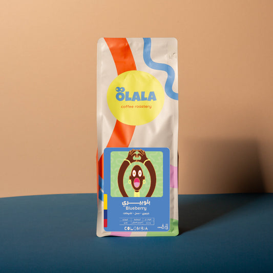 BlueBerry - Infusion - Colombia 1 KG