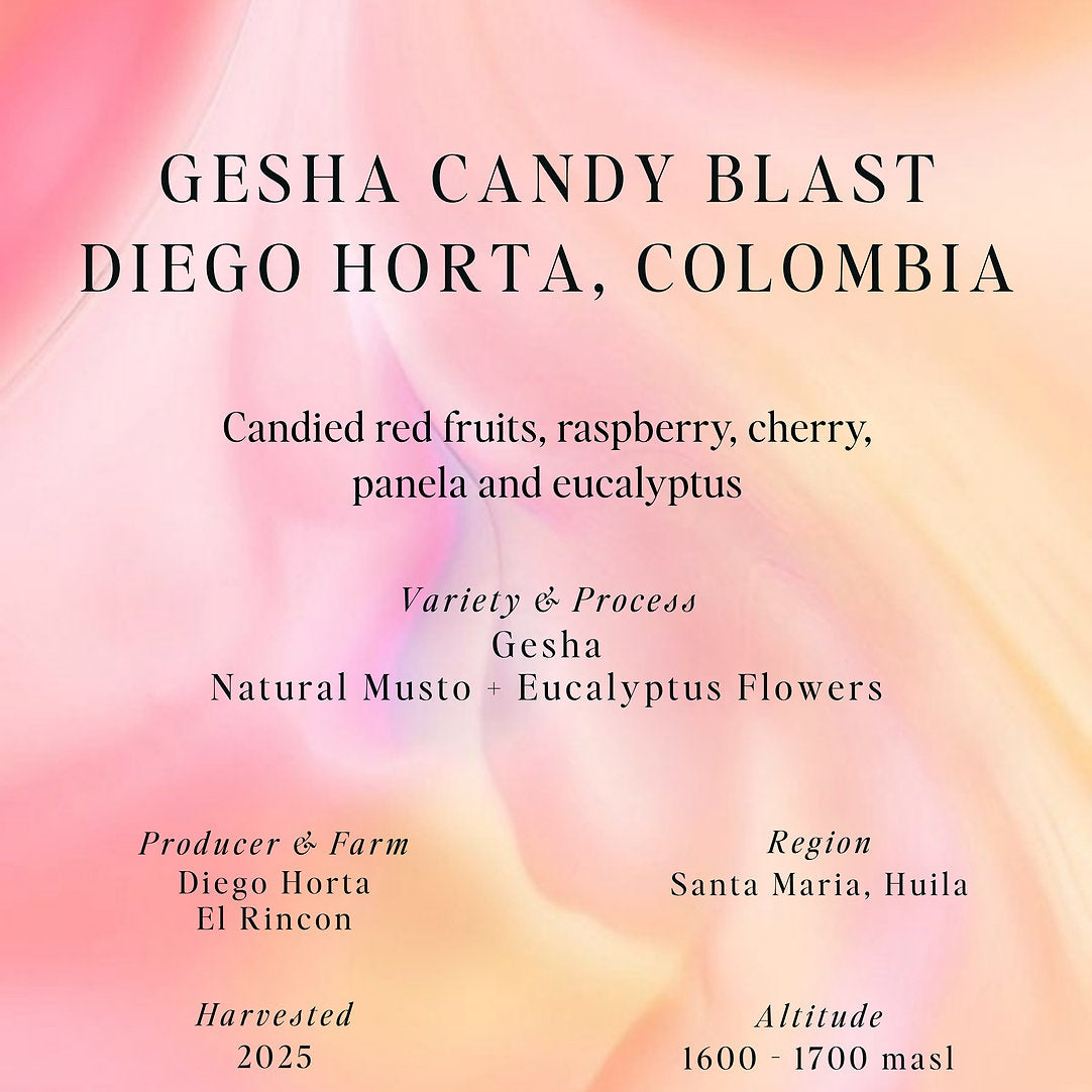 Gesha Candy Blast - Colombia (Omni)