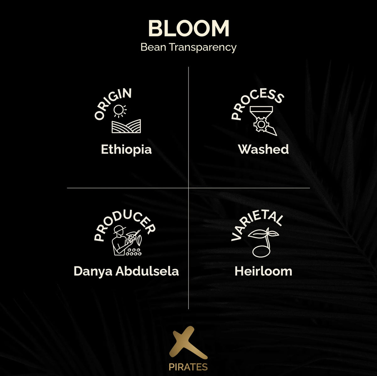 Bloom – Washed – Ethiopia