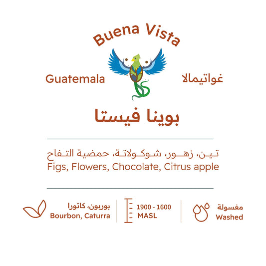 Buena Vista - Guatemala