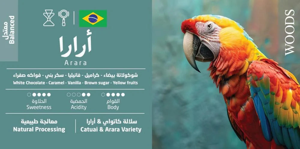 Arara – Brazil