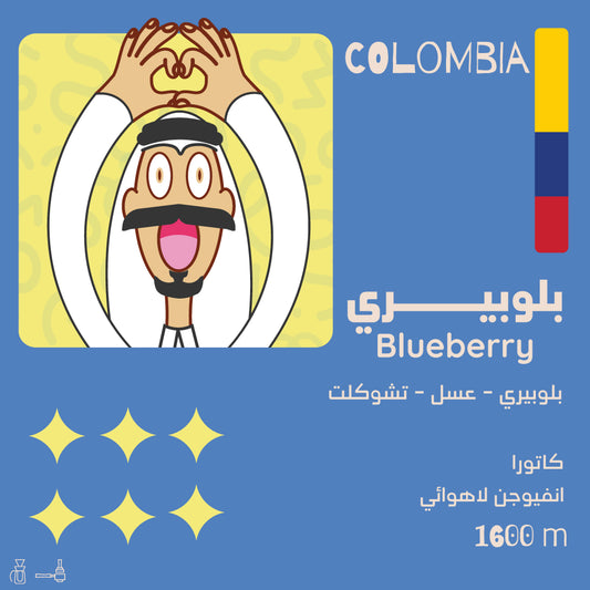 BlueBerry - Infusion - Colombia 1 KG