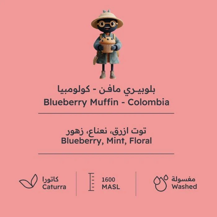 Blueberry Muffin -  Colombia