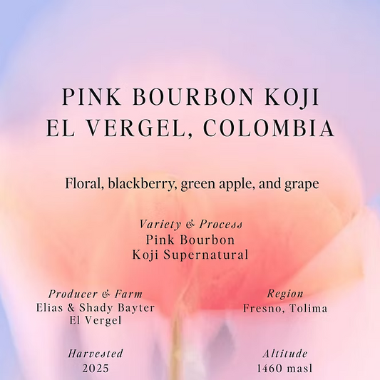 Pink Bourbon Koji – El Vergel – Colombia (Omni)